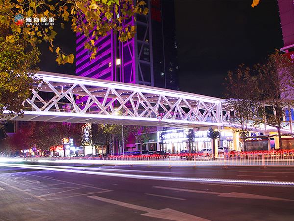 新華路天橋2
